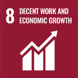 SDG 8