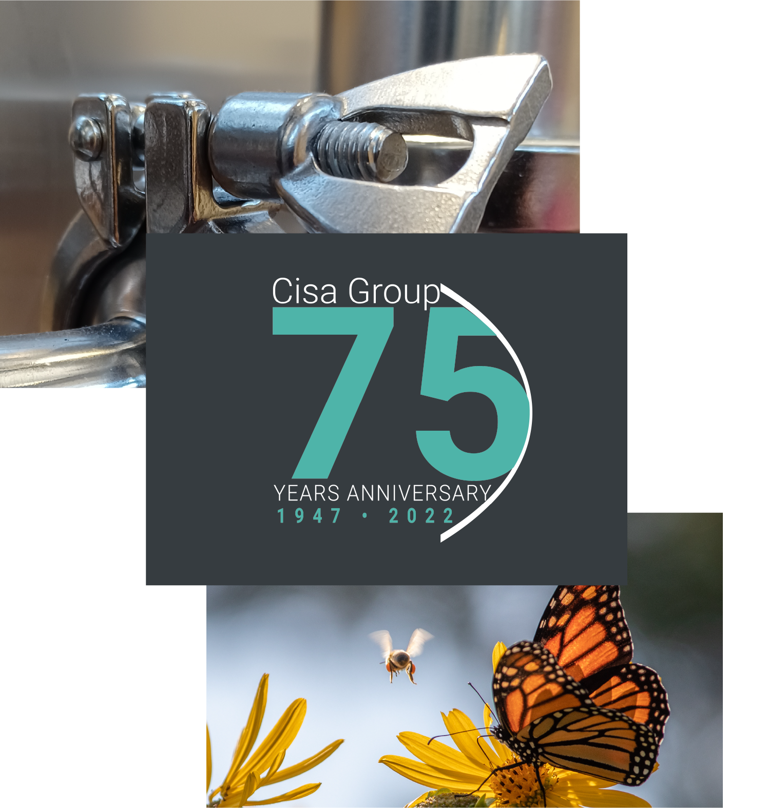 Home page Cisa Group